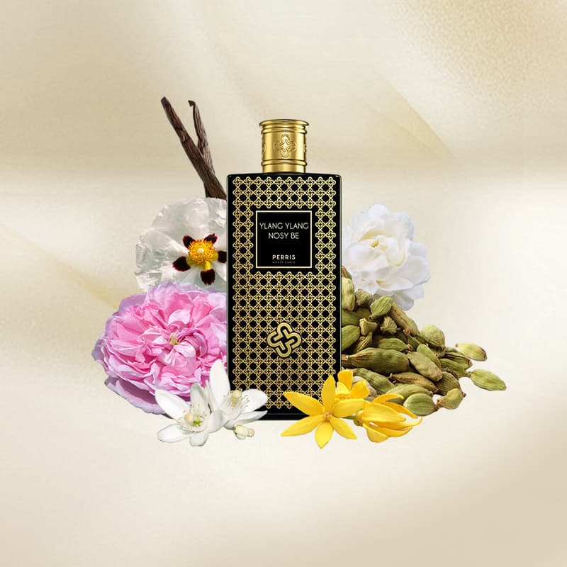 Ylang Ylang Nosy Be Essenzaltro